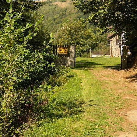 Casa Valea Prejbei Villa Rau Sadului Exteriör bild