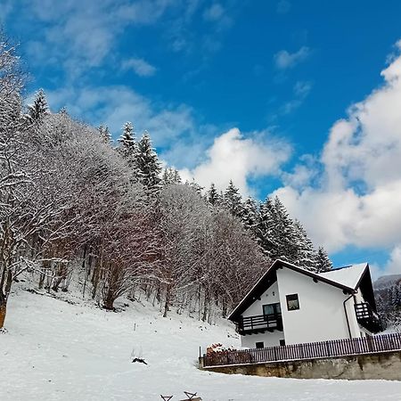 Casa Valea Prejbei Villa Rau Sadului Exteriör bild