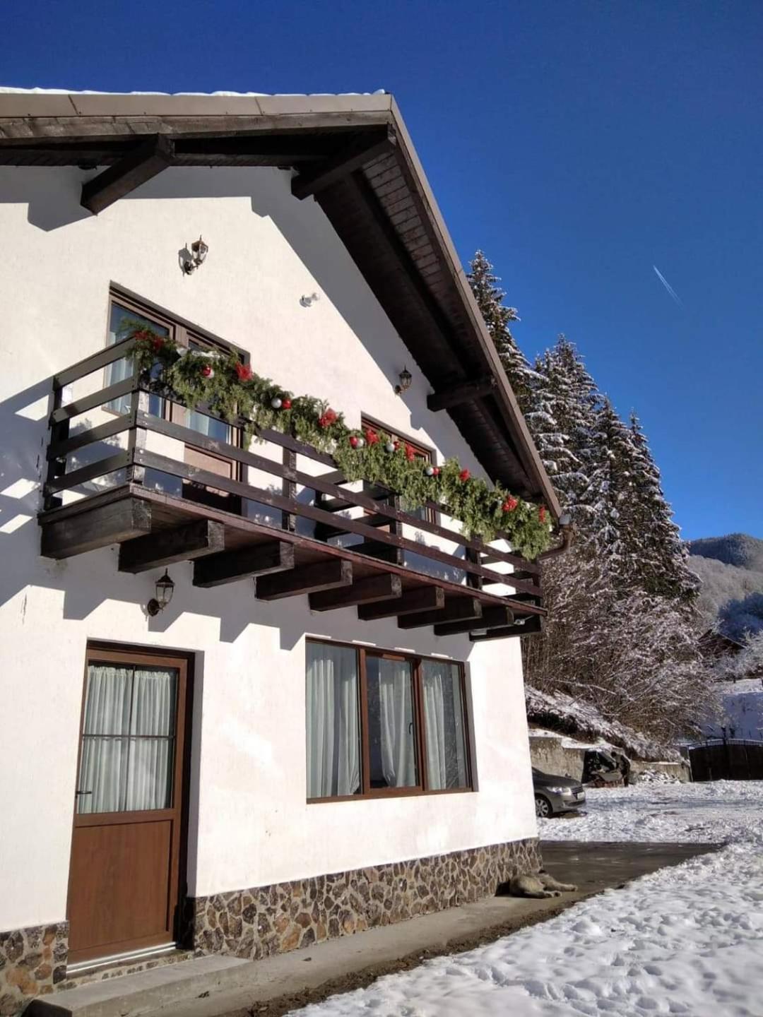 Casa Valea Prejbei Villa Rau Sadului Exteriör bild