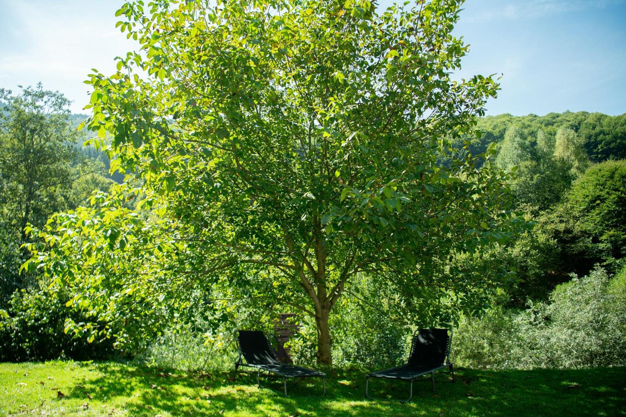 Casa Valea Prejbei Villa Rau Sadului Exteriör bild