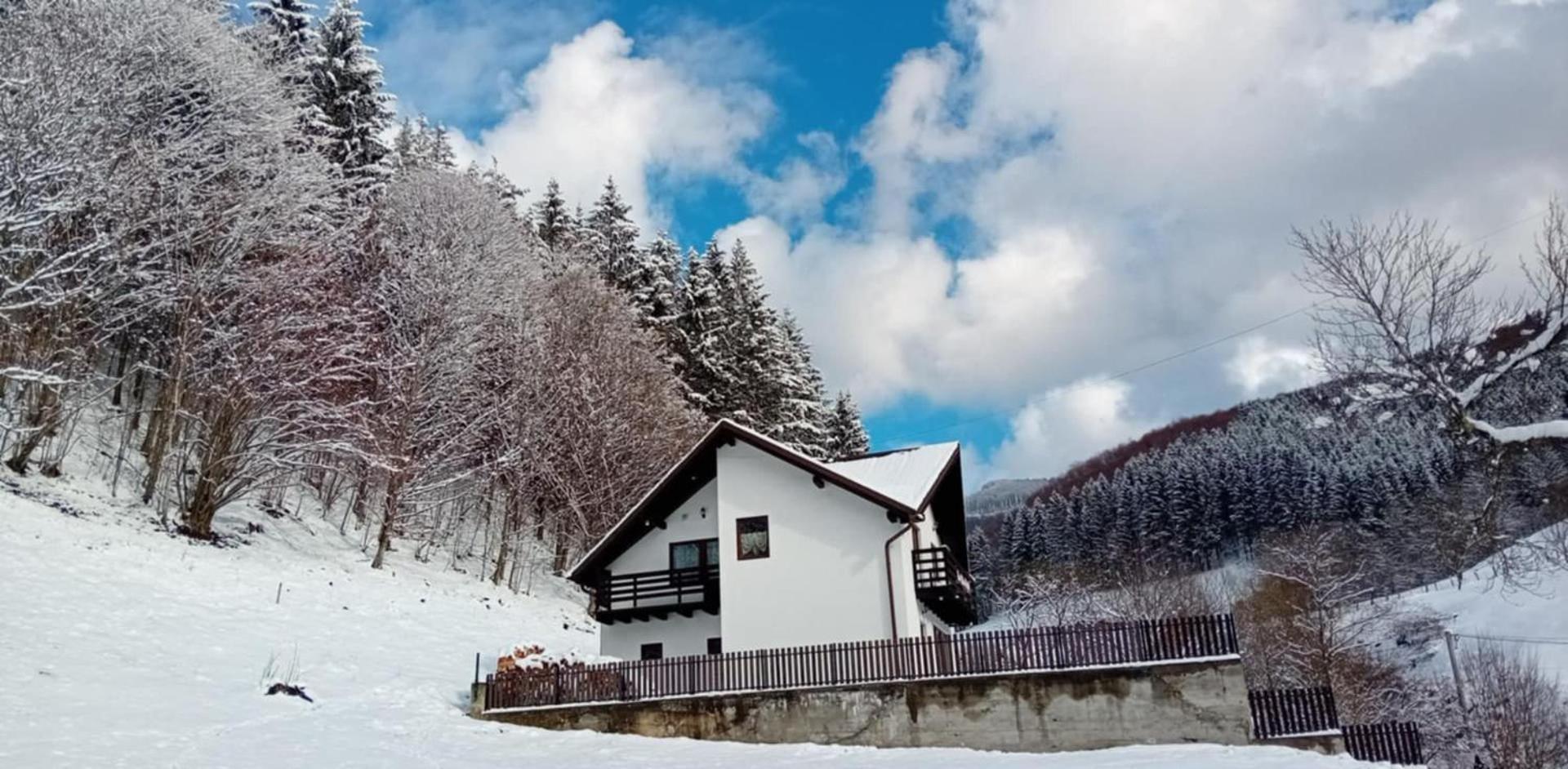 Casa Valea Prejbei Villa Rau Sadului Exteriör bild