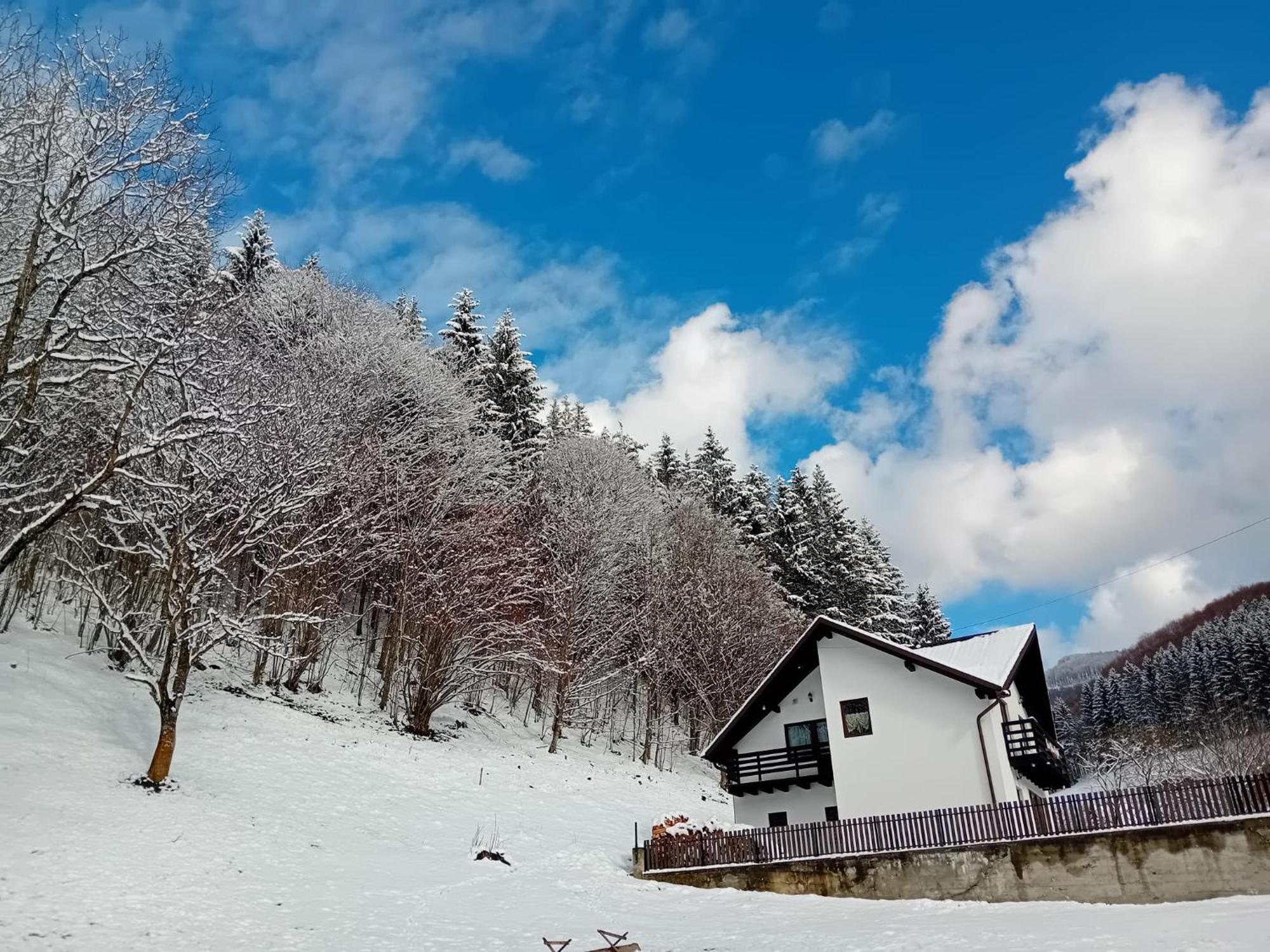 Casa Valea Prejbei Villa Rau Sadului Exteriör bild